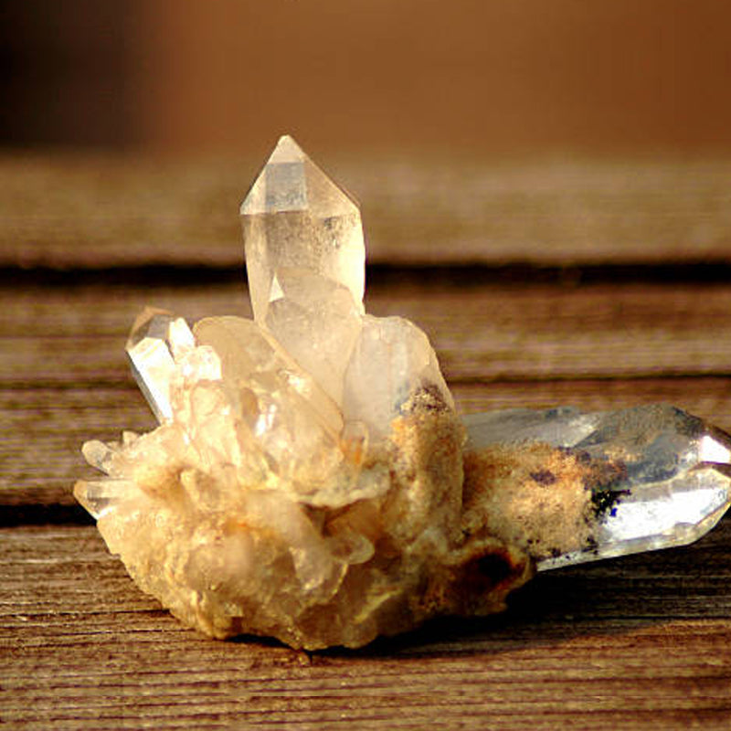 Confidence & Vitality